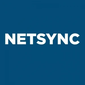 Netsync Network Solutions Inc