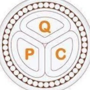 qatar power construction