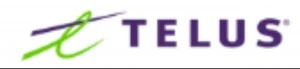 TELUS International AI Inc. egypt
