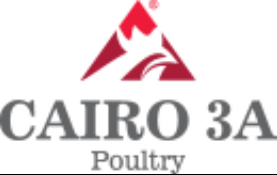 Cairo Three A Poultry egypt