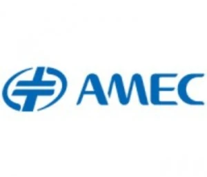 AMEC (Advanced Micro-Fabrication Equipment Inc. China)