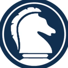 Elite Consulting Partners