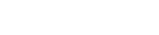 Castle Employment Group