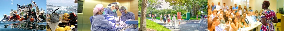 University Of Miami