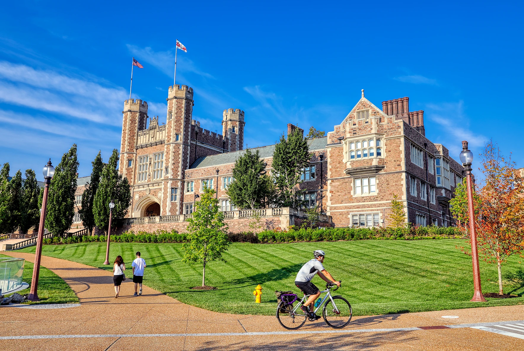 Washington University In St Louis