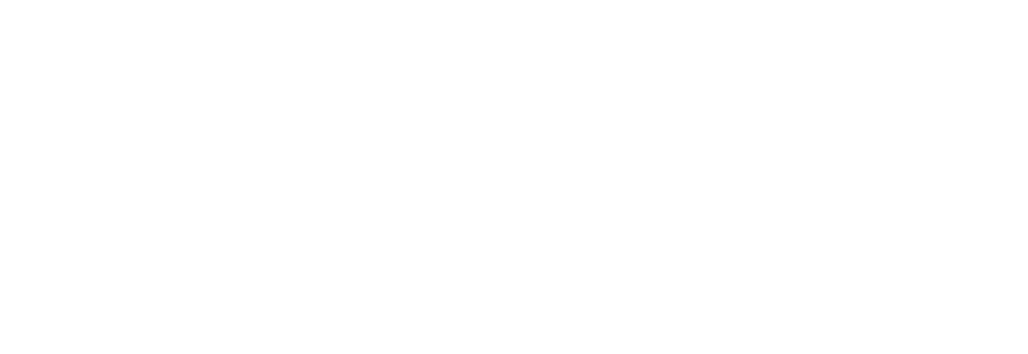 Artis Offer Letter