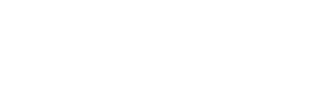 Met Council