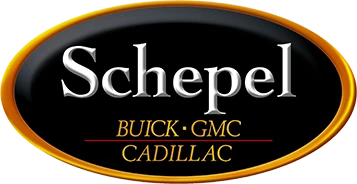 Schepel Auto Group Overview