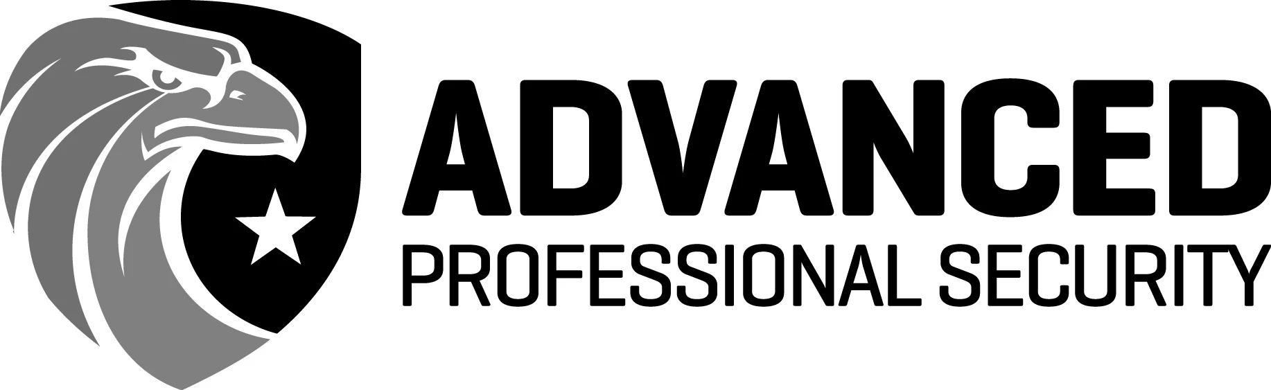 Advanced Professional Security