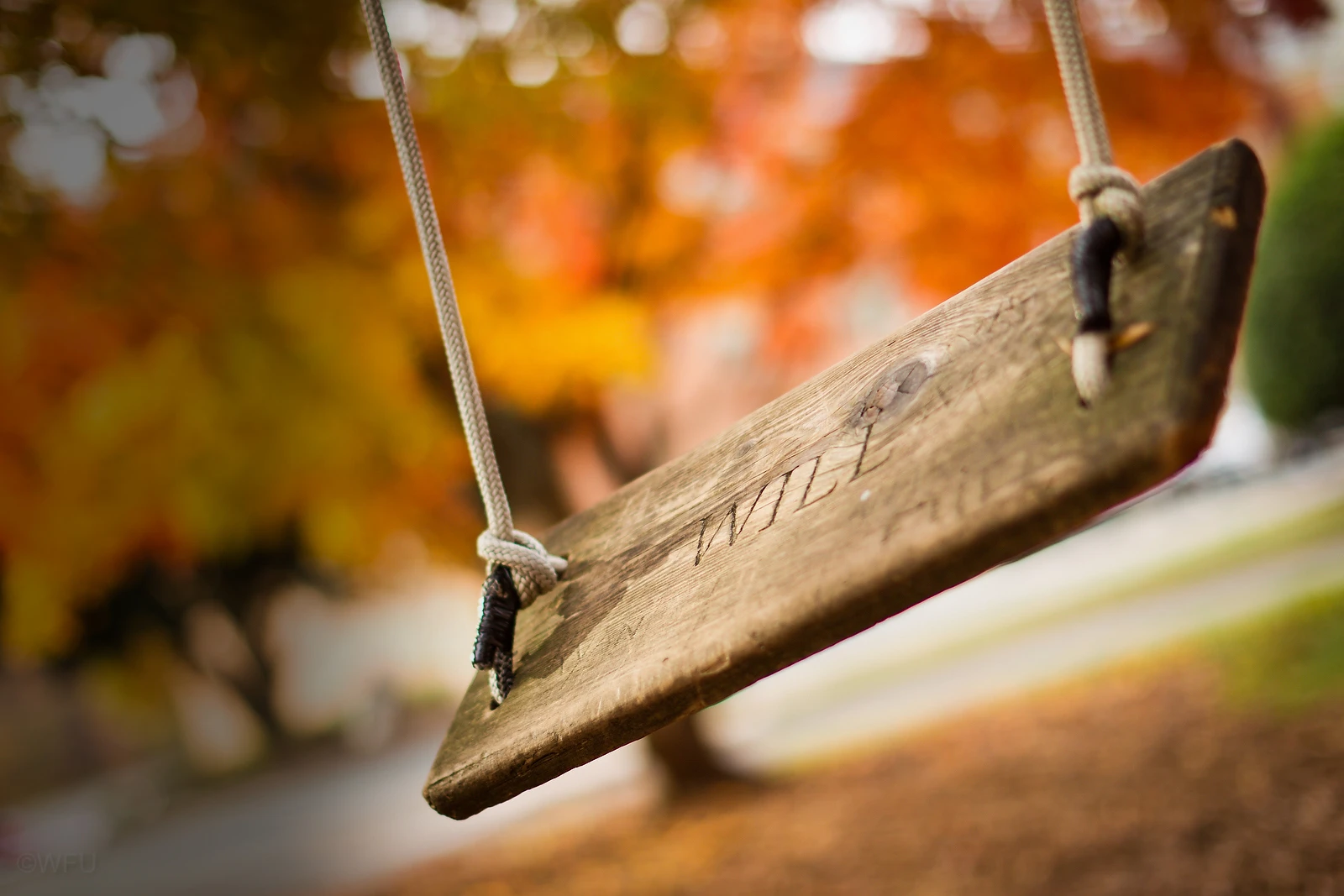 Wake Forest University