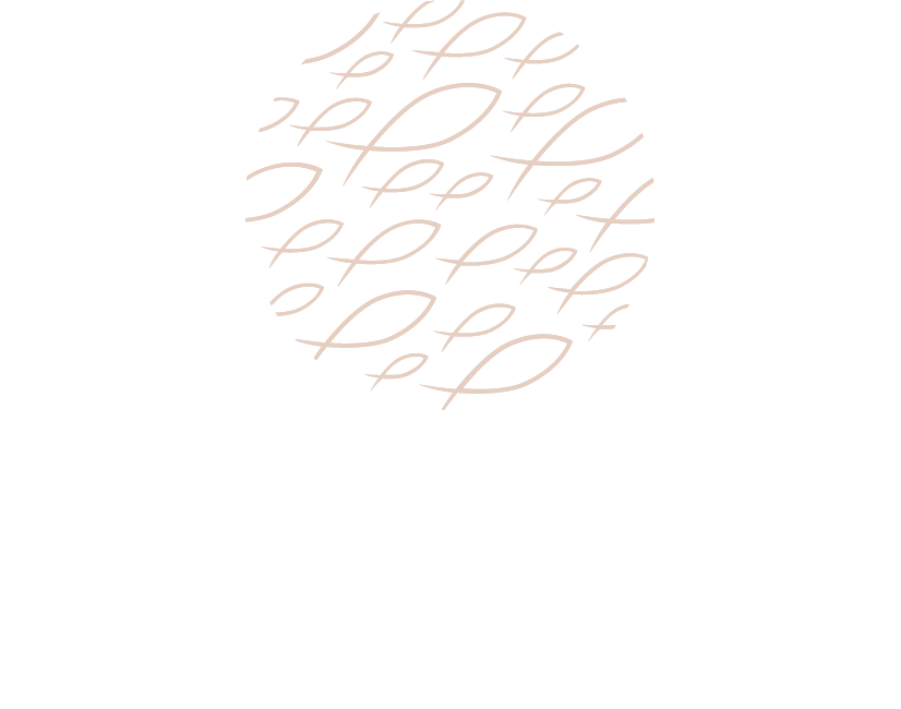 Seton Education Partners