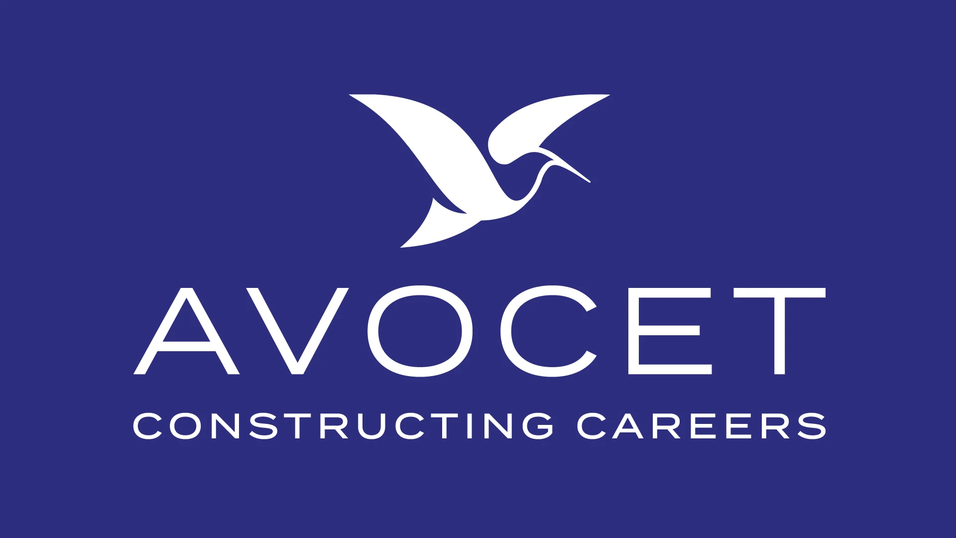 Avocet