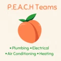 P.e.a.c.h. Teams