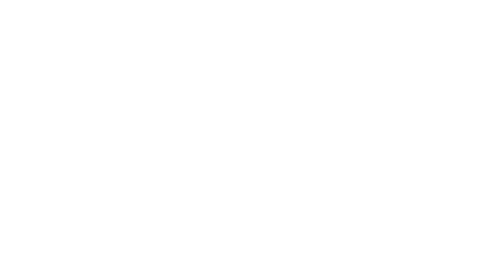 Pinnacle Career
