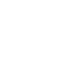 Interpol