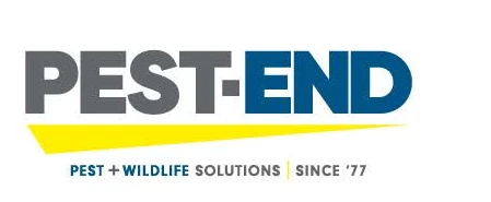 Pest End