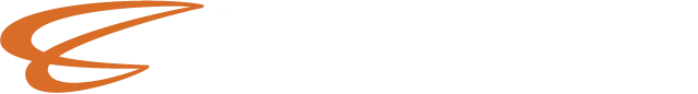 Celerity Consulting Group