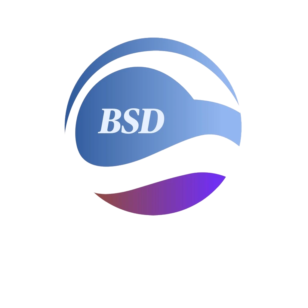 Bsd Business Consulting