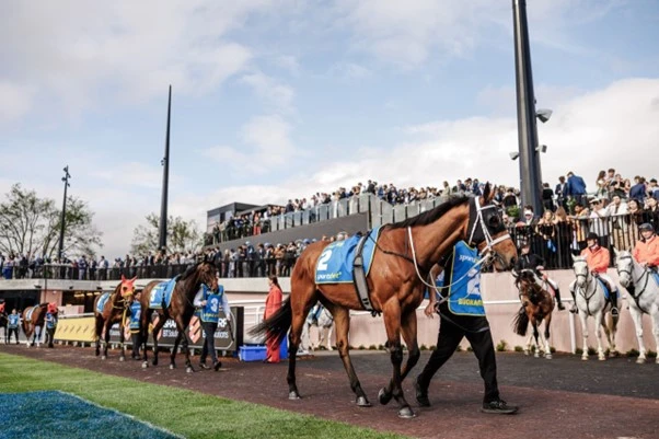 Melbourne Racing Club