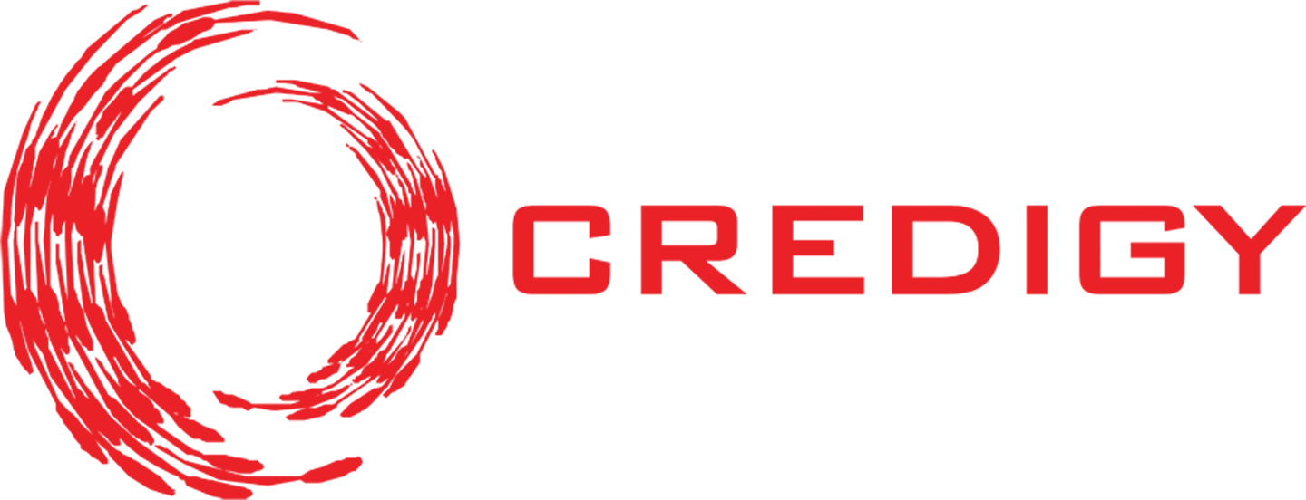 Overview Credigy
