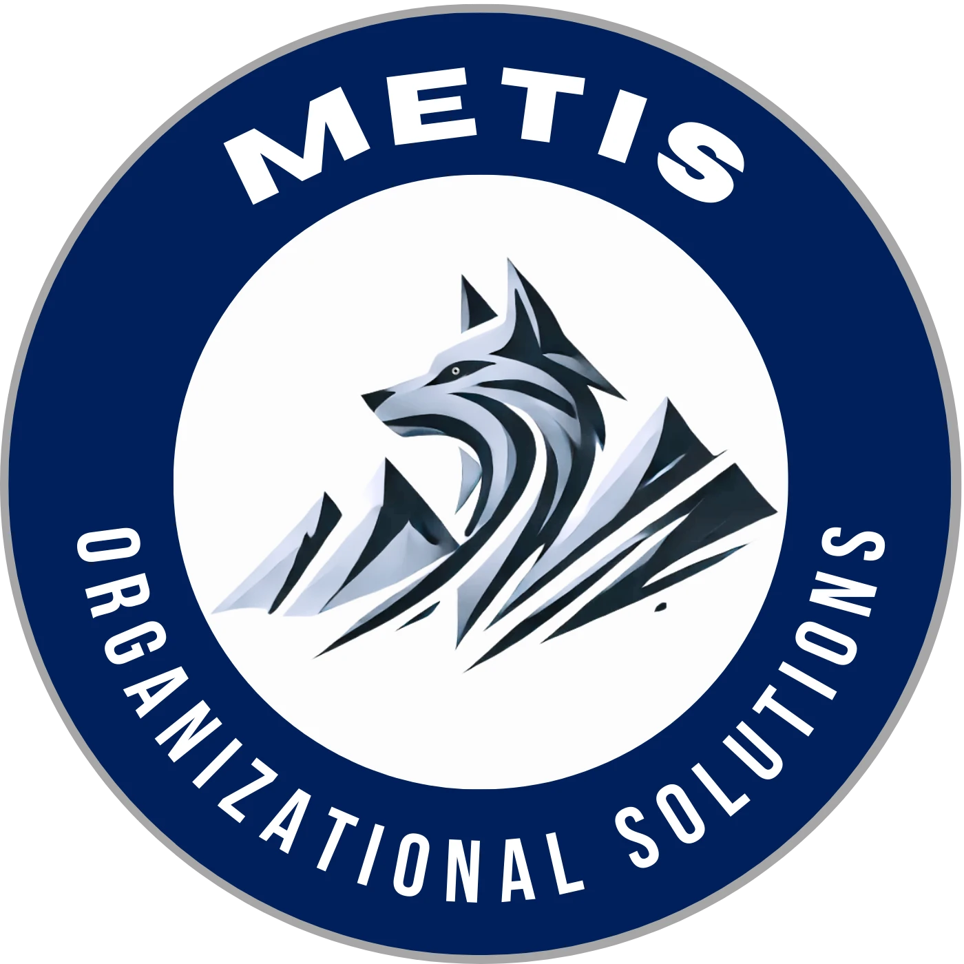 Organizational Solutions Overview