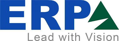 Erp Analysts
