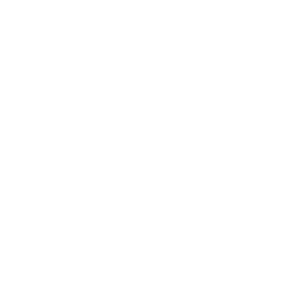 Colégio Israelita Brasileiro