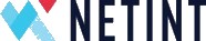 Netint Technologies Inc.