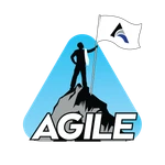 Agile Consulting Group