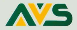 A-Nu-Virtual Solutions LLC
