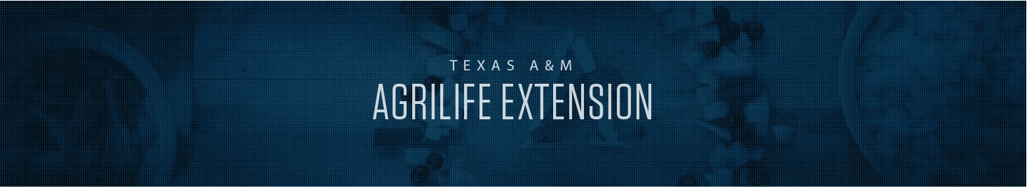 Texas A&m Agrilife
