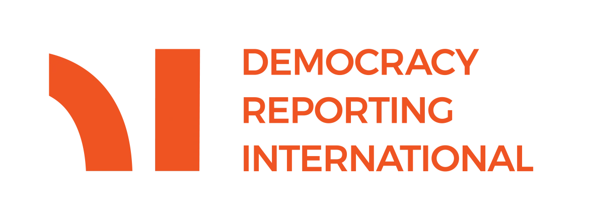 Democracy Reporting International Overview