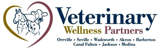 Veterinary Wellness Partners