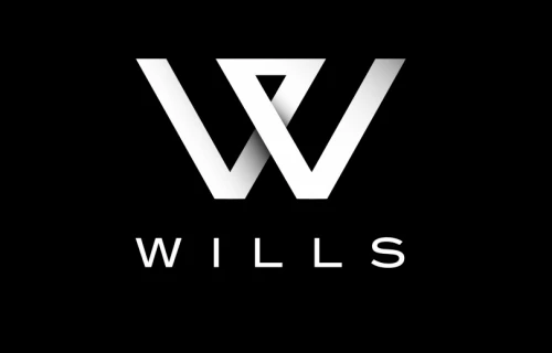 Dm Wills Associates Limited Overview