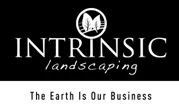 Intrinsic Landscaping
