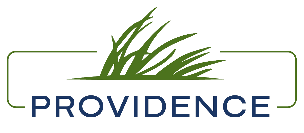 Providence Engineering And Environmental Group
