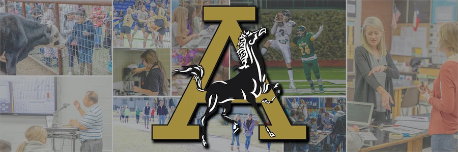 Big Spring Independent School District