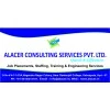 Alacer Consulting Services Overview