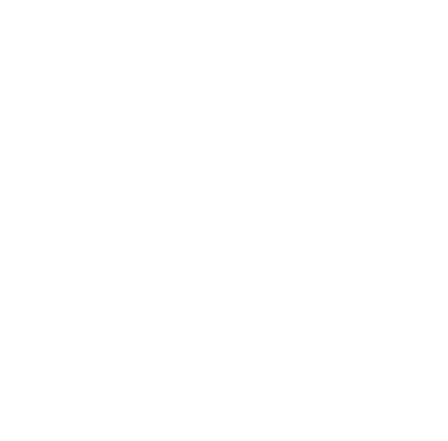 4020 Consult Pty
