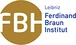 Ferdinand-braun-institut