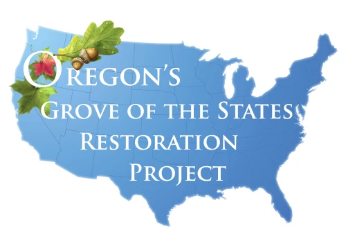 Travel Information Council