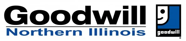 goodwill infinity groups