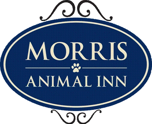 Morris Animal Inn