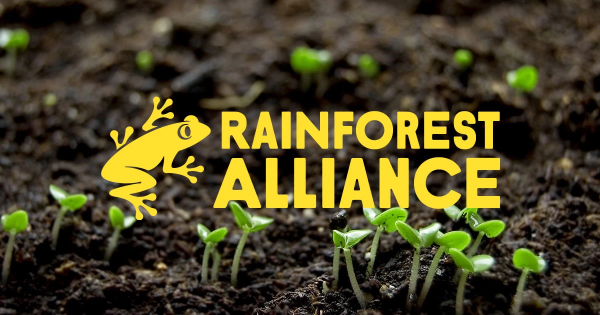 Rainforest Alliance Consultants Internships Overview