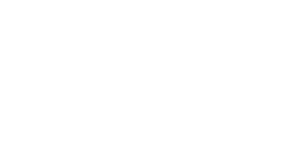 The Mitten Brewing Company
