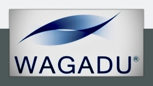 Wagadu Consulting Overview