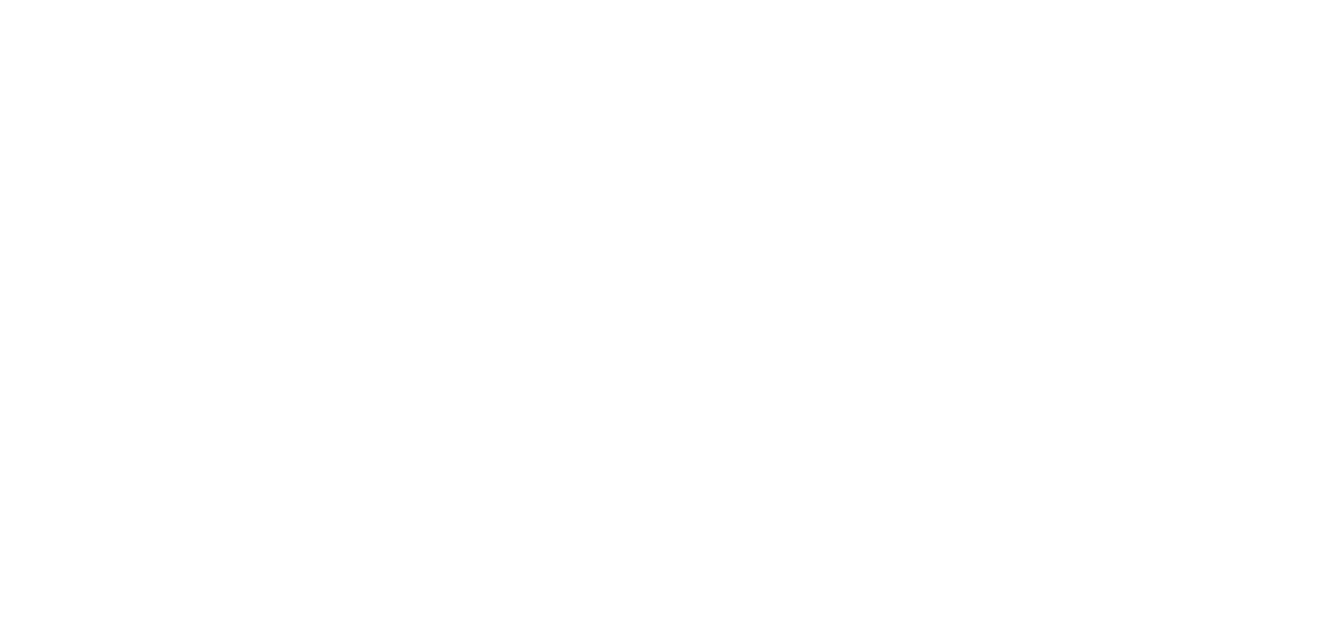 Marshall, Gerstein & Borun Llp