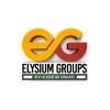 Elysium Group Of Companies Overview