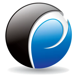 Paradigm Engineers Overview