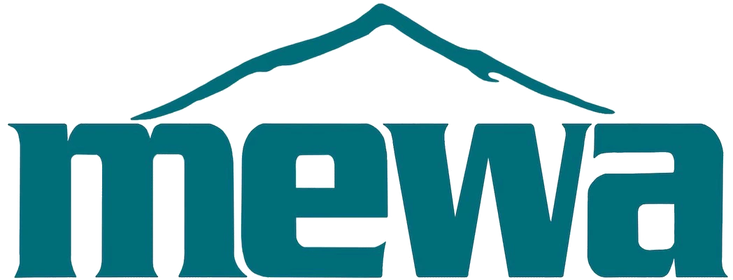 Metro East Web Academy